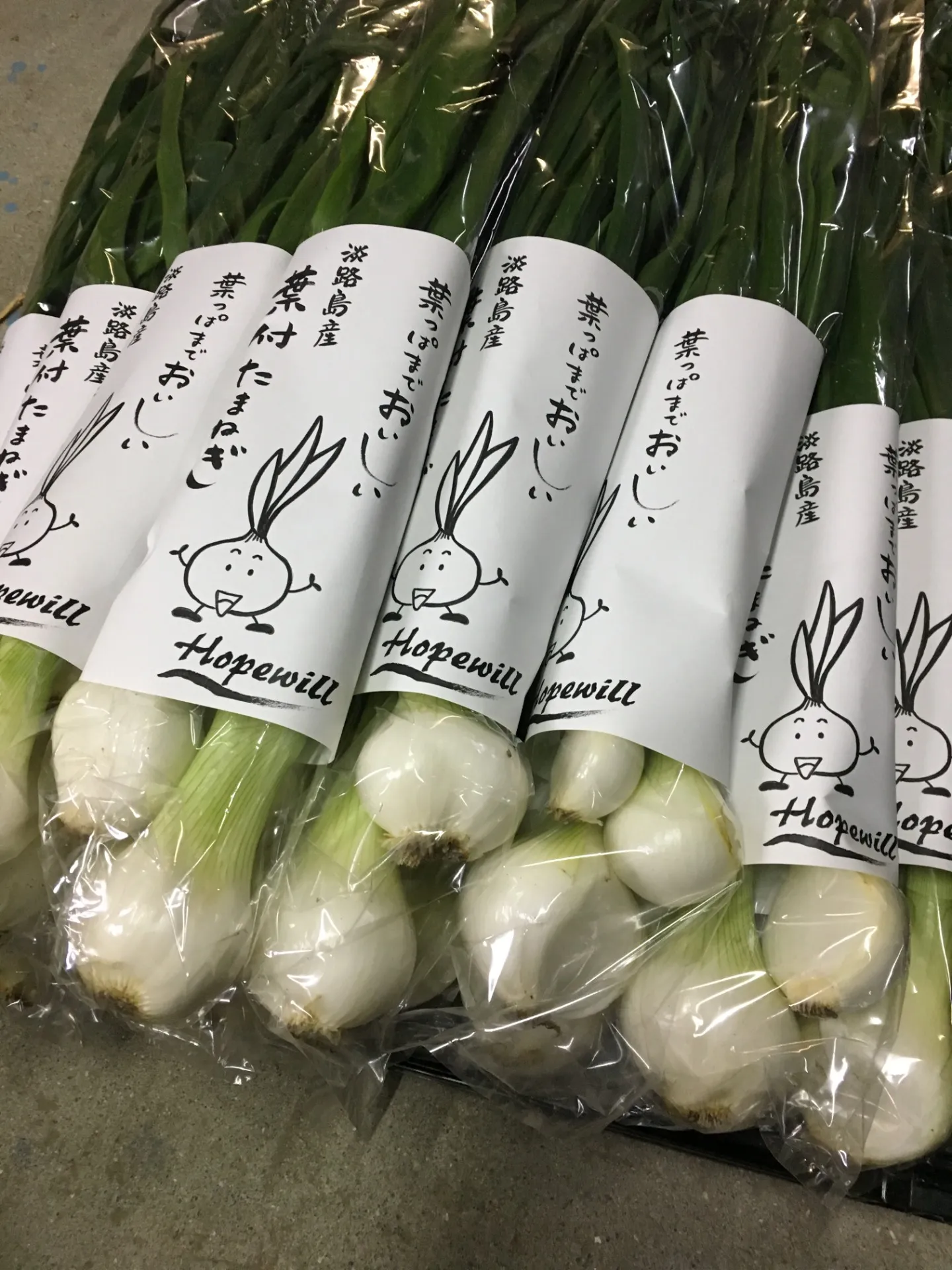 全く辛くなくペロリと半分食べてしまいました(笑)