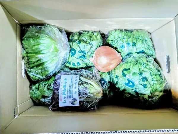 生産者の方の愛情たっぷりの綺麗で立派なレタスでした。