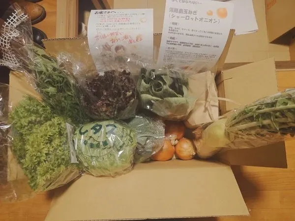 このご時世でコスパも最高。